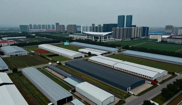 内容分发策略：新媒体运营中的选型关注点